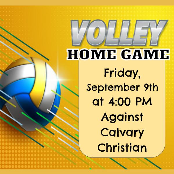 Home Volleyball Game