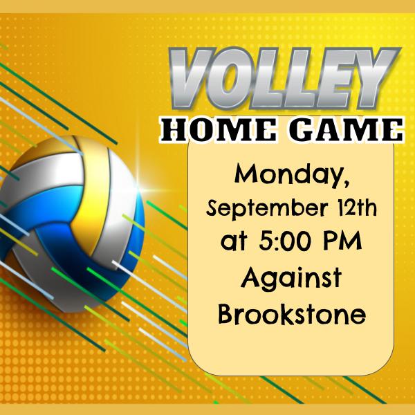 Home Volleyball Game